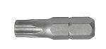 BIT HEGY TORX T 45X25MM S2 10DB/CS